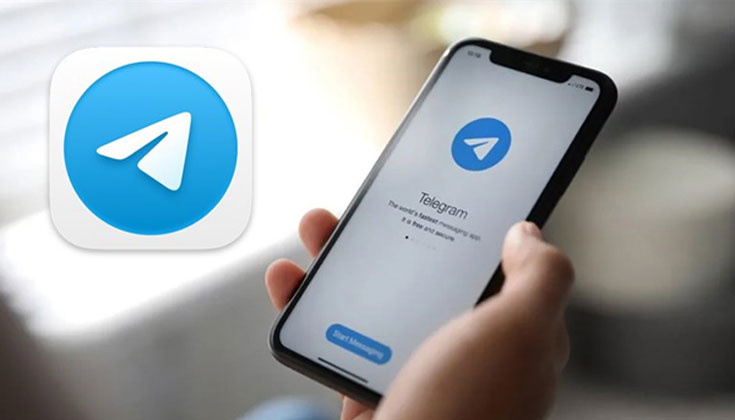 Por Que Usar o Telegram na 79m Bet