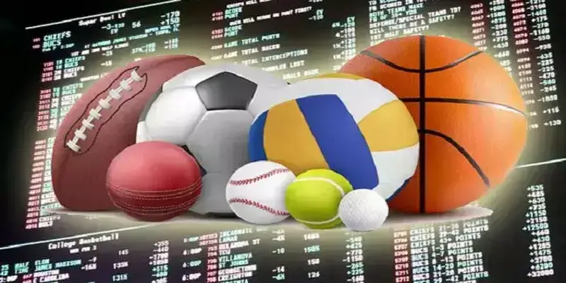 Por Que Escolher a 79M para Suas Apostas Esportivas